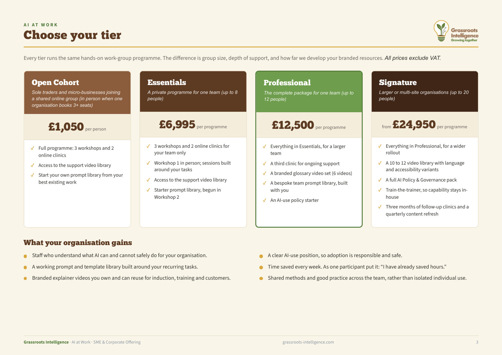 AI at Work programme brochure, page 3
